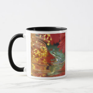 Frosch und Spiegelungen unter Blumen. Zugeschriebe Tasse
