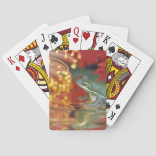 Frosch und Spiegelungen zwischen Blumen. Bildnachw Spielkarten