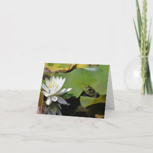 Frosch- und Wasserlilien-Lotusblumen-Fotografie