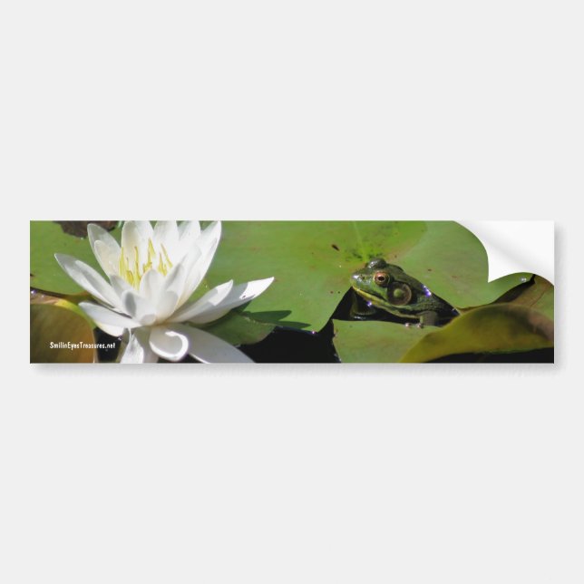 Frosch-Wasser-Lilien-Blumen-Foto-Autoaufkleber Autoaufkleber (Vorne)