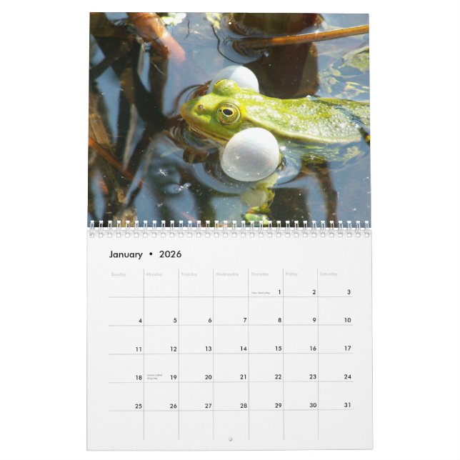Frösche des Weltkalenders Kalender (Jan 2026)