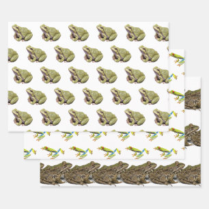 Frösche Geschenkpapier Set