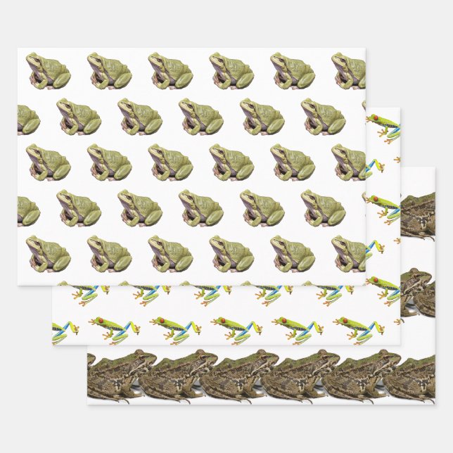 Frösche Geschenkpapier Set (Set)