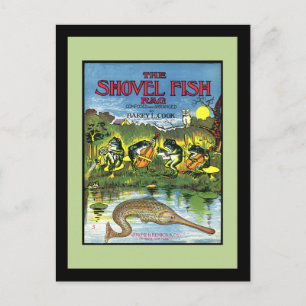 Frösche in Band Postkarte