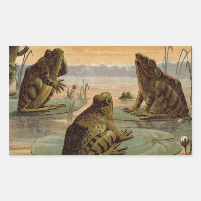 Frösche Lily Pads Moon Illustration Rechteckiger Aufkleber (Vorderseite)