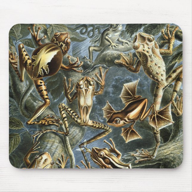 Frösche Mousepad (Vorne)