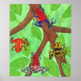 Frösche Poster