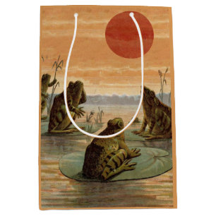 Frösche Seerosenblätter Mond Illustration Mittlere Geschenktüte