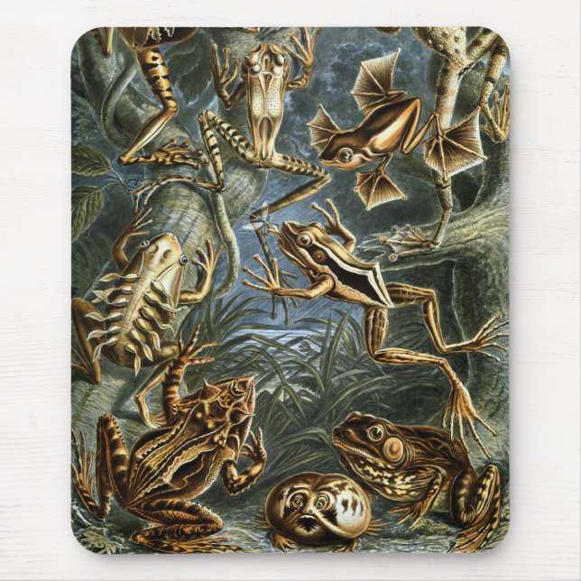 Frösche u. Kröten Mousepad (Vorne)