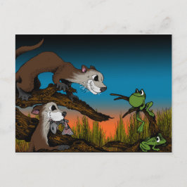 Froschfehler Postkarte