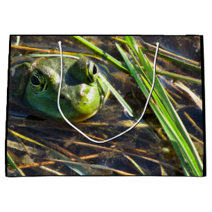 Froschgeschenktasche Große Geschenktüte