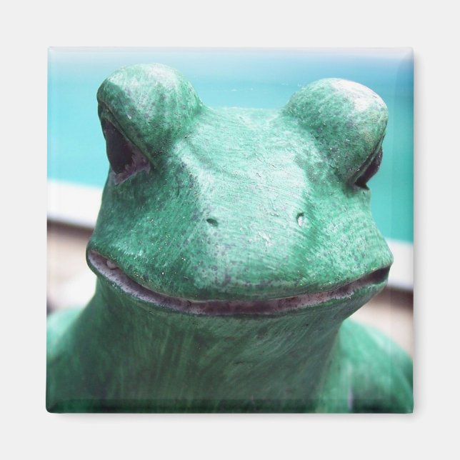 Froschgesicht Magnet (Vorne)