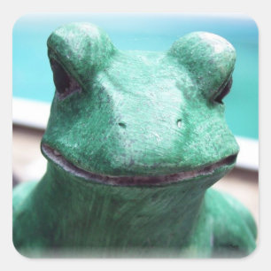 Froschgesicht Quadratischer Aufkleber