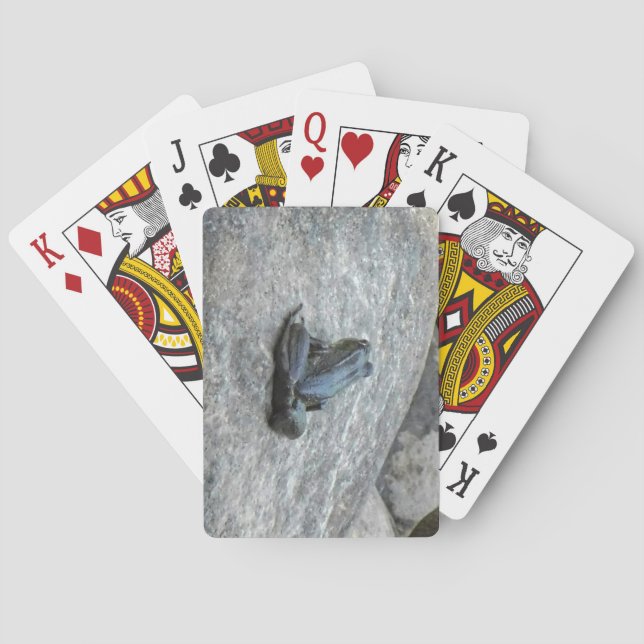 Froschkarten Spielkarten (Rückseite)