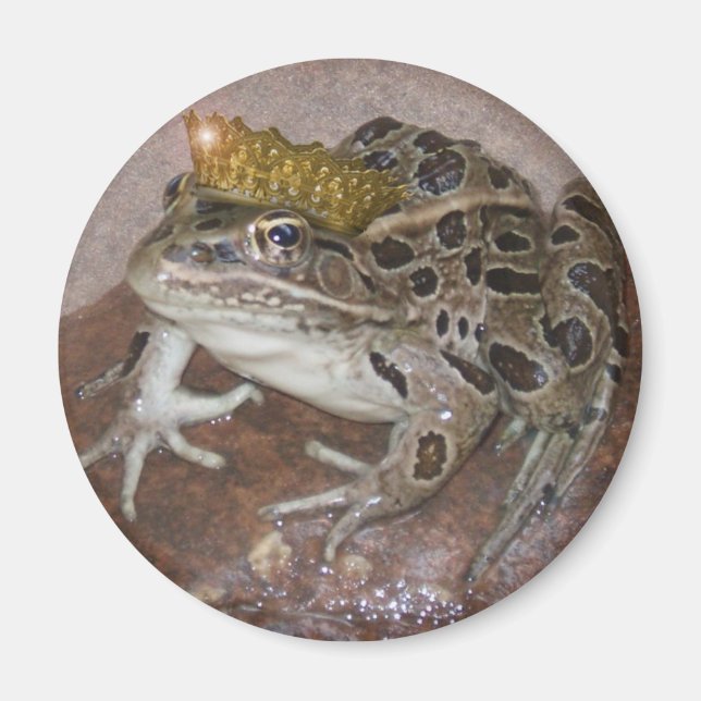 Froschkönig Magnet (Vorne)