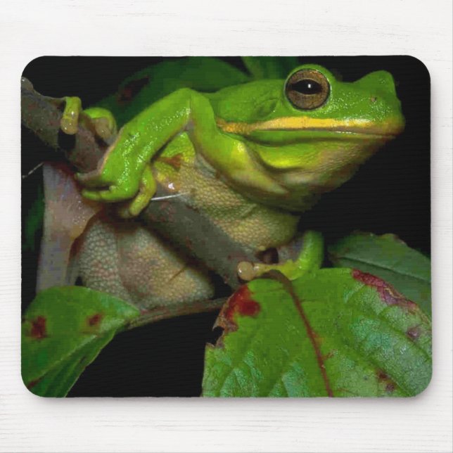 Froschliebhaber mousepad (Vorne)