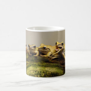 Froschpoledate Leucomystax Kaffeetasse