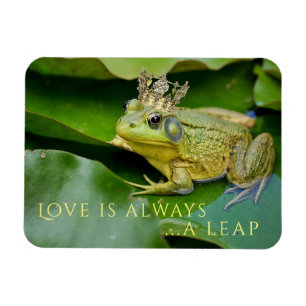 Froschprinz auf Lily Pad Magnet