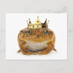 Froschprinz - Vorderansicht Postkarte