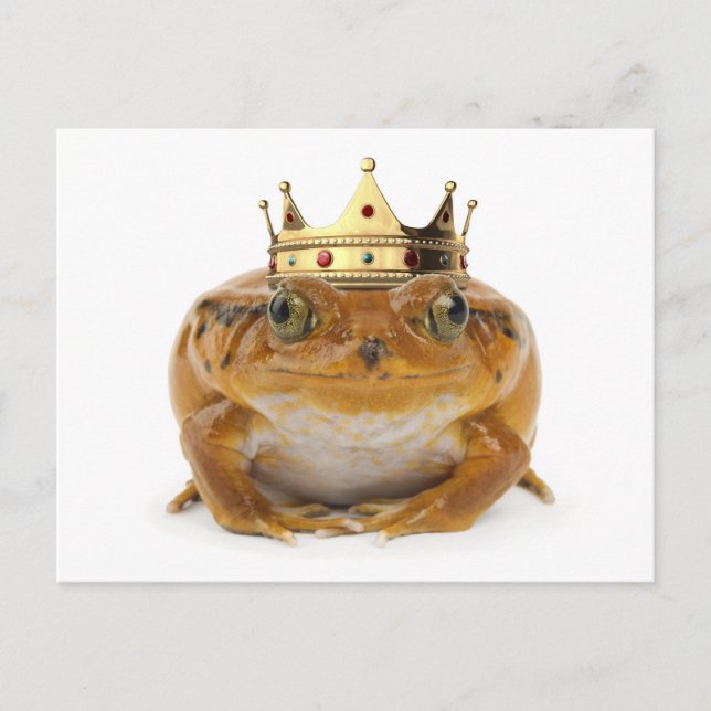 Froschprinz - Vorderansicht Postkarte (Vorderseite)