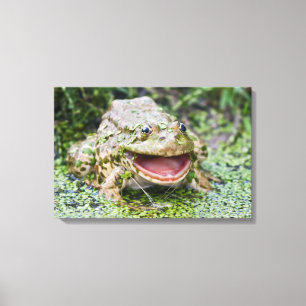 Froschprinz Wrapped Canvas Print Leinwanddruck