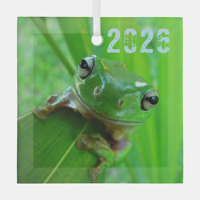 Froschschschmuck Ornament Aus Glas (Vorderseite)
