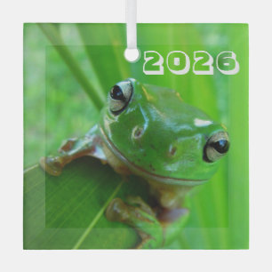 Froschschschmuck Ornament Aus Glas