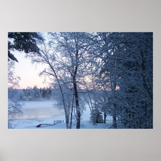 Froschsee in der Zeit Poster (Vorne)