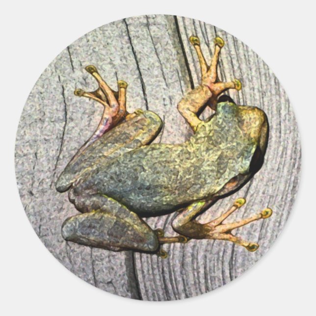 Froschsticker Runder Aufkleber (Vorderseite)