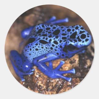 Froschsticker Runder Aufkleber
