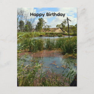 Froschsumpfparadies Riverland Australien, Postkarte