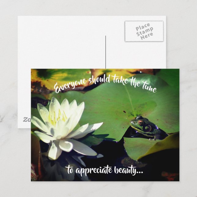 Froschwasserlilie Schönheit Inspiration Postkarte (Vorne/Hinten)