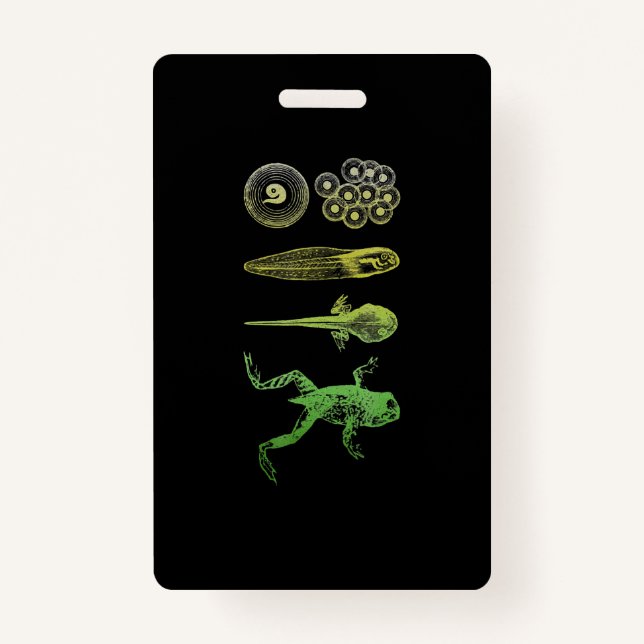 Froschzange Metamorphose Lebenszyklus Biologie Ausweis (Vorderseite)