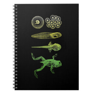 Froschzange Metamorphose Lebenszyklus Biologie Notizblock