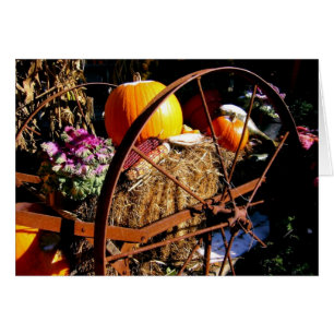 Frost auf dem Kürbis