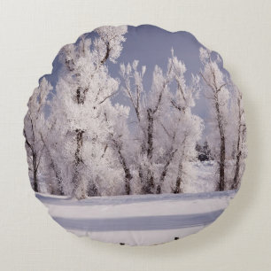 Frost bedeckte Bäume und Zaun, Colorado Rundes Kissen