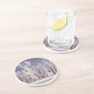 Frost bedeckte Bäume und Zaun, Colorado Untersetzer