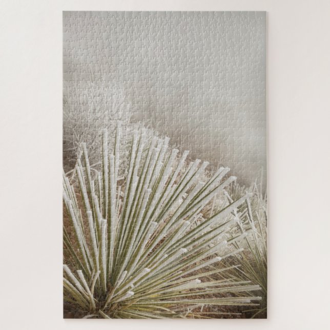 Frostbedeckter Yucca im Winter (Vertikal)