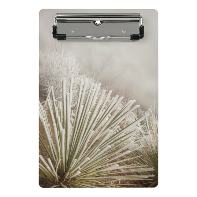 Frostbedeckter Yucca im Winter Mini Klemmbrett (Vorderseite)