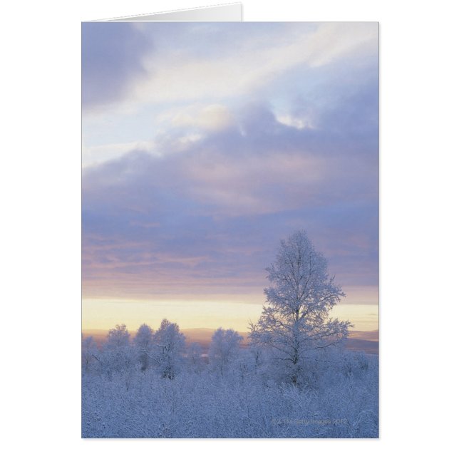 Frostbewald (Vorne)