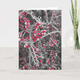 Frosted Berries Card Feiertagskarte