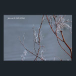 Frosted Bush Poster<br><div class="desc">Winter frosting 2026</div>