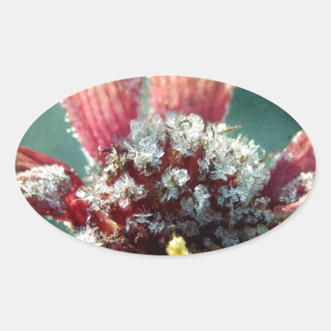 Frostige Blume Ovaler Aufkleber (Vorderseite)