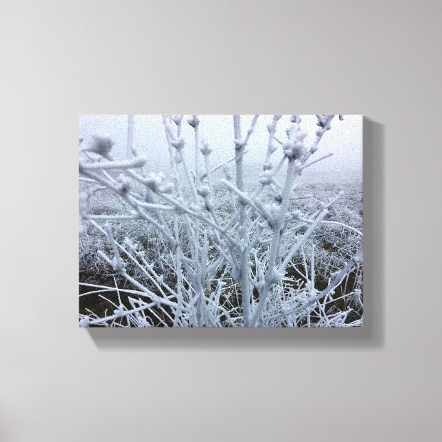 Frostige Pflanze Winterlandschaft Leinwanddruck (Vorderseite)