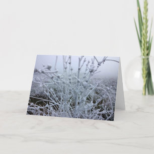 Frostige Pflanzen Winterlandschaft Feiertagskarte