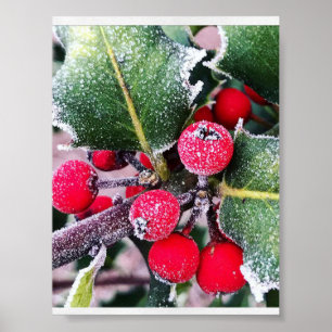 Frostige Stechpalme Poster