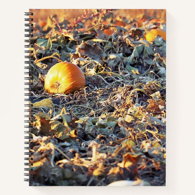Frostiger Kürbispatch  Notizbuch (Vorderseite)