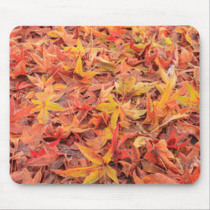 Frostiger Morgen, Mill Creek, WA, USA Mousepad