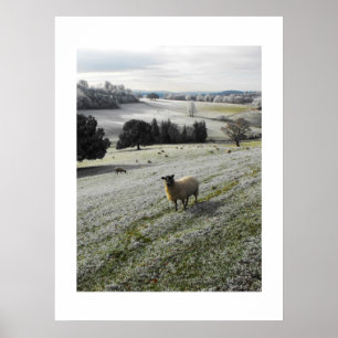Frostmorgens Poster