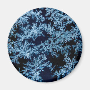 Frostmuster aus der Nähe, Kalifornien Magnet
